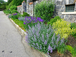 Asphalt path with purple and yellow flowers and plants lining one side