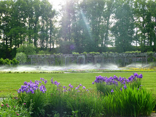 Arbor and garden plants being watered by sprinklers with lawn and purple flowers in the foreground