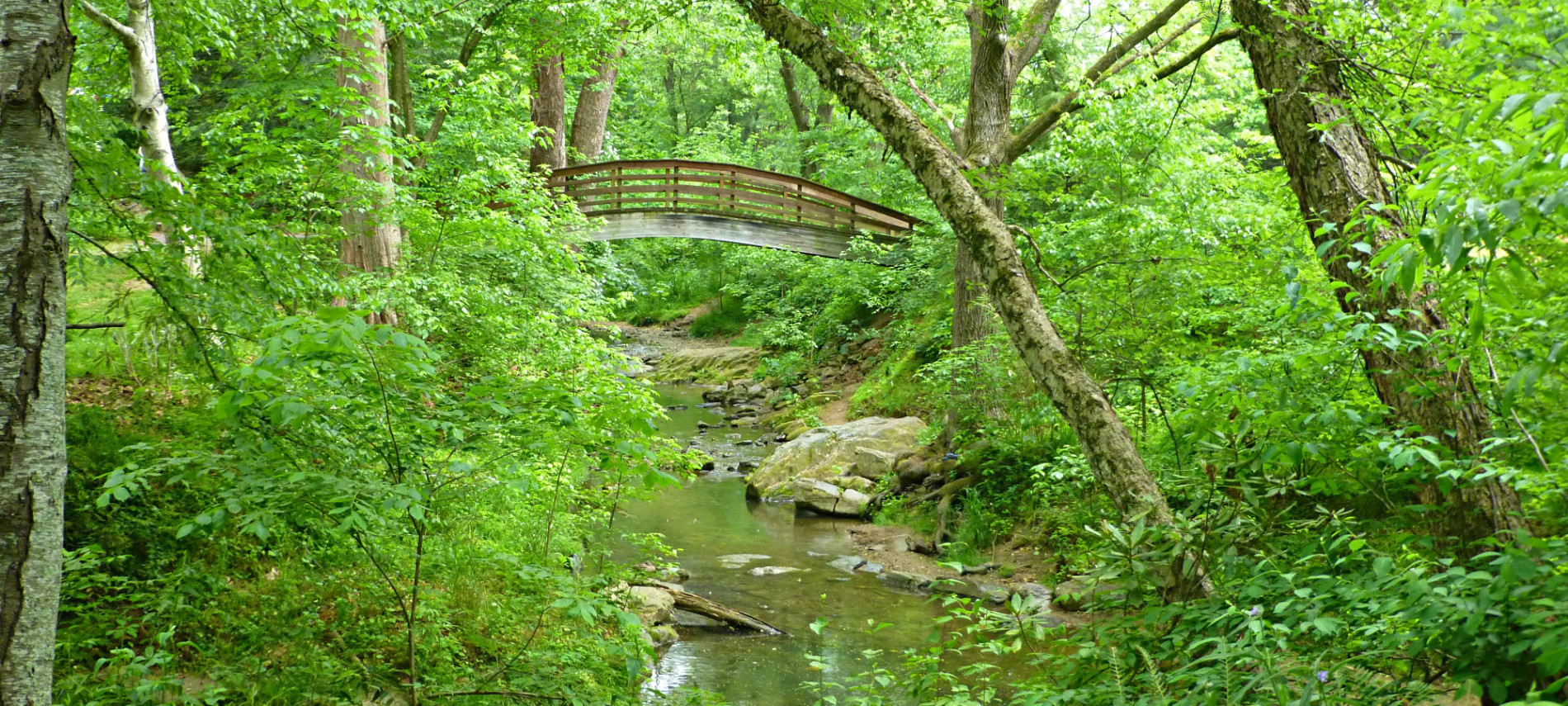 Arched wooden bridge over a stream surrounded by green leafy trees and lush foliage