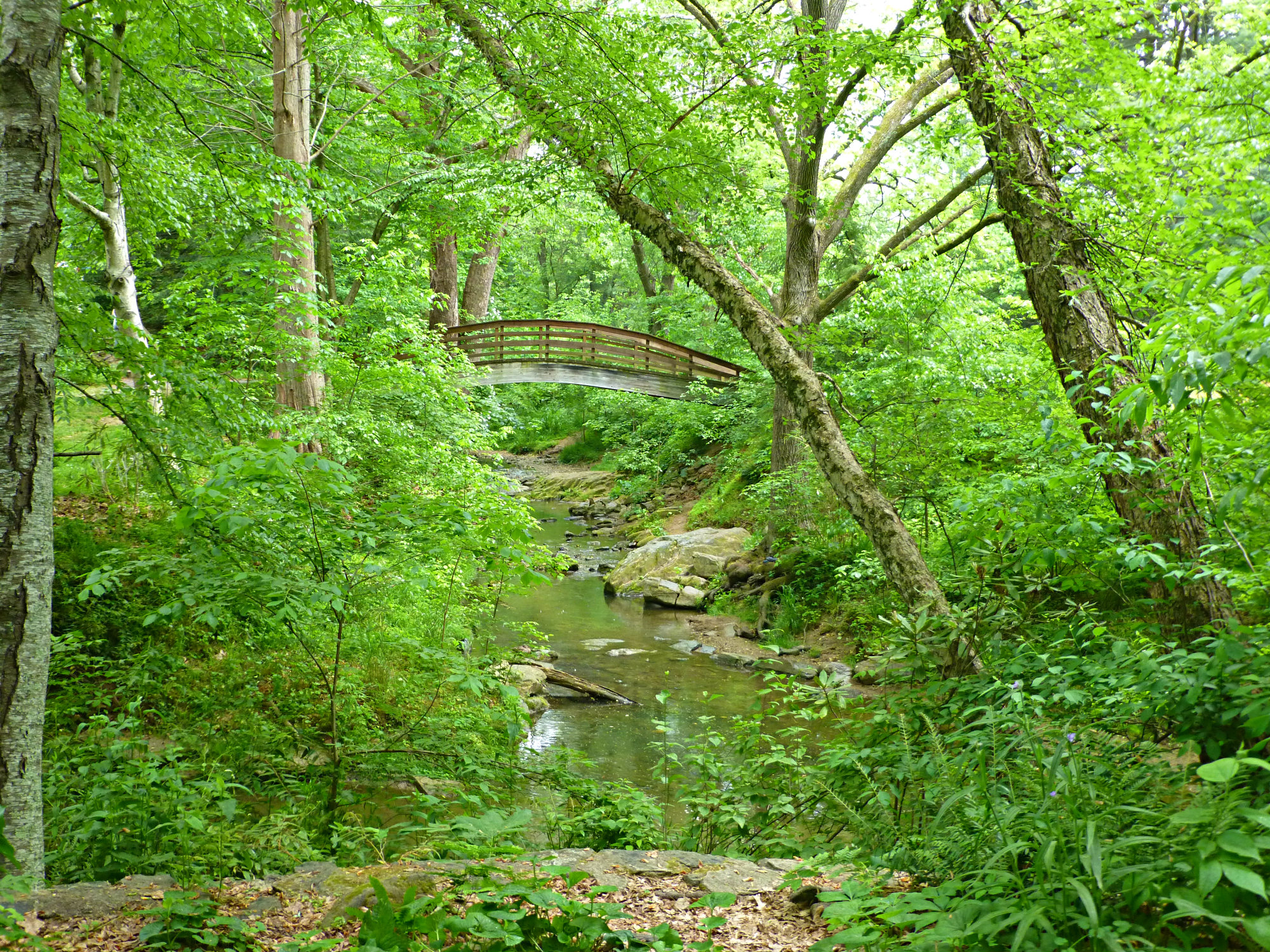 Botanical Gardens At Asheville