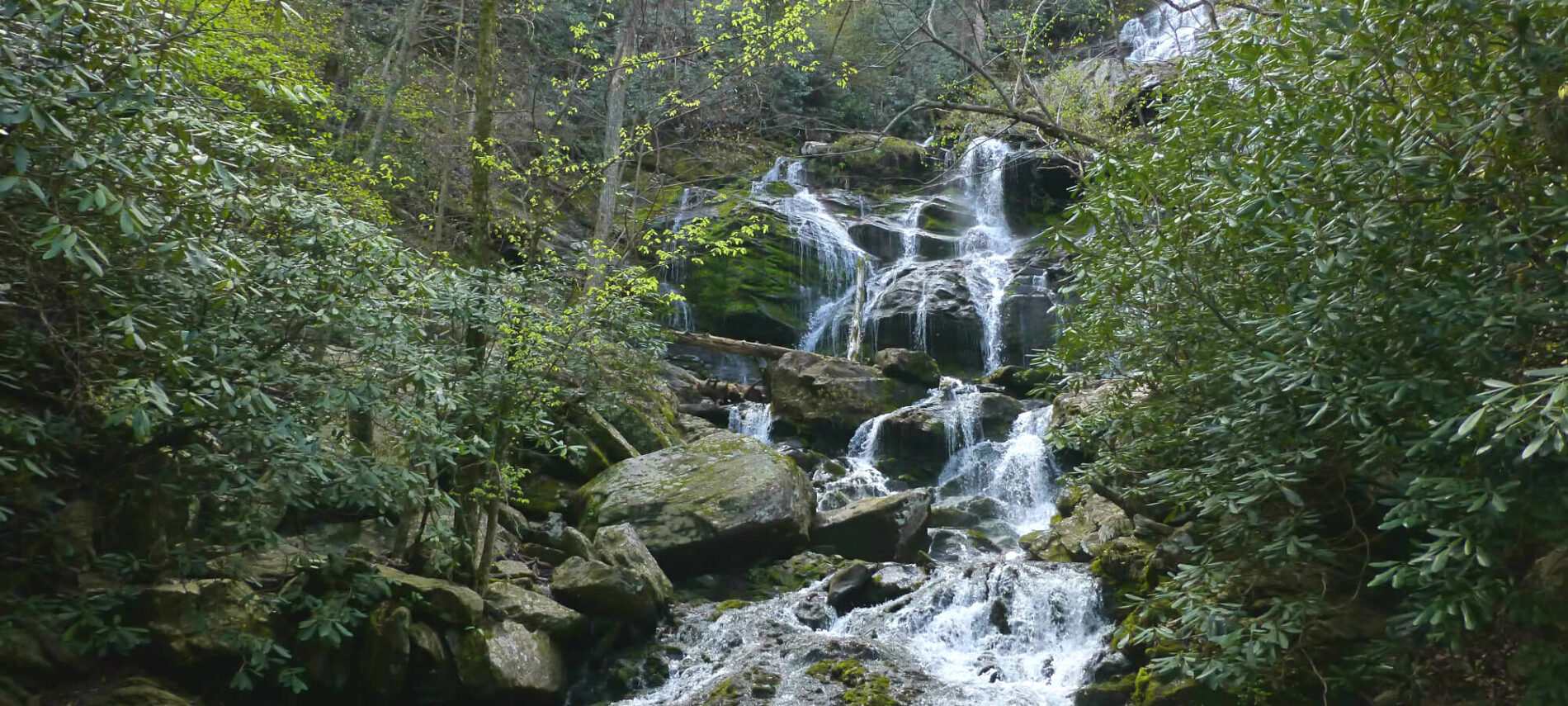 Catawba Falls in Springtime