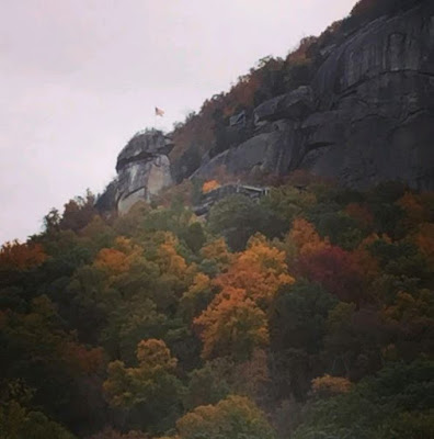 Trees with fall color and large granite stone with American flag on top