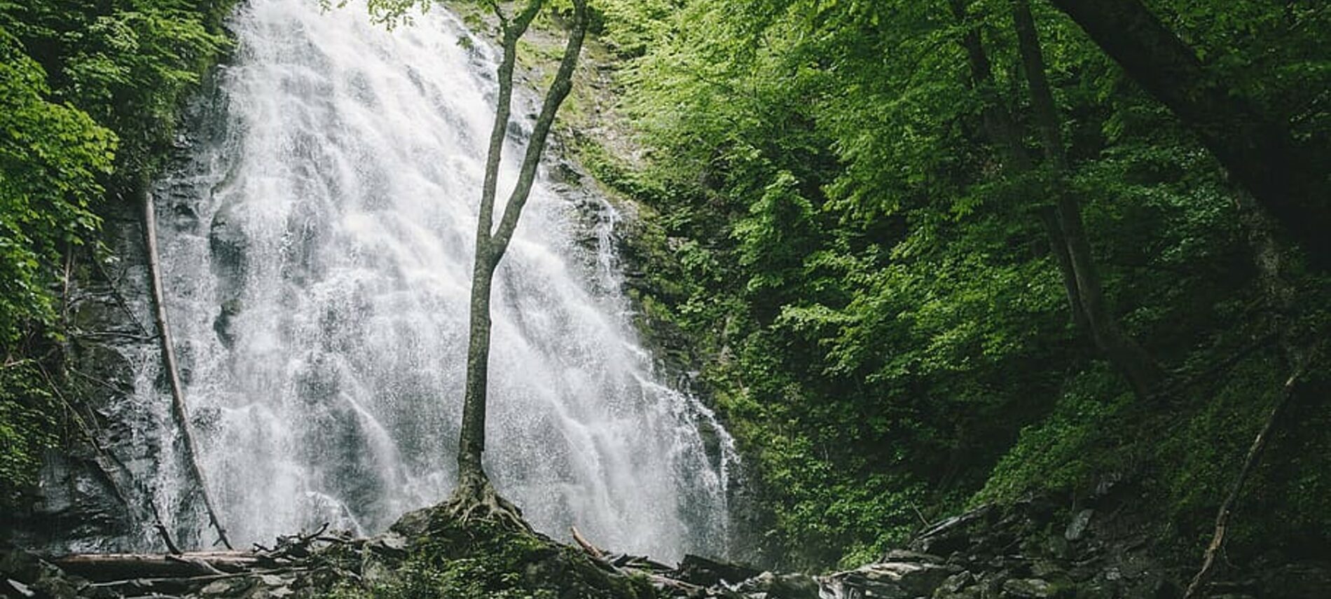 Waterfall in a forest