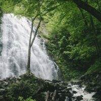 Waterfall in a forest