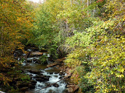 Creek with water running over boulders and surrounded by trees