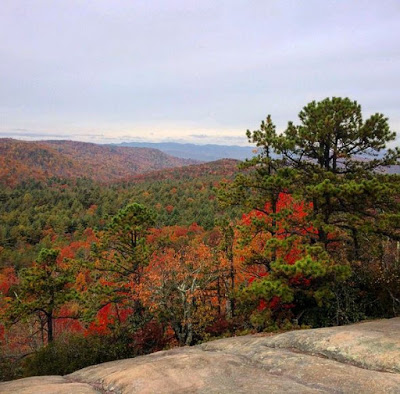 Mountain vista full of fall colors