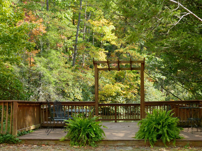 Deck with a two ferns sitting on it and an arbor overlooking a pond in the woods