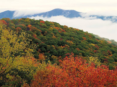 Mist floating through mountain ranges that are starting to turn fall colors