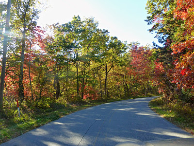 Fall colors along a country road