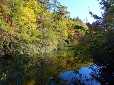 Body of water with fall colors reflected in it