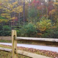 Split Rail Fence along a forest road