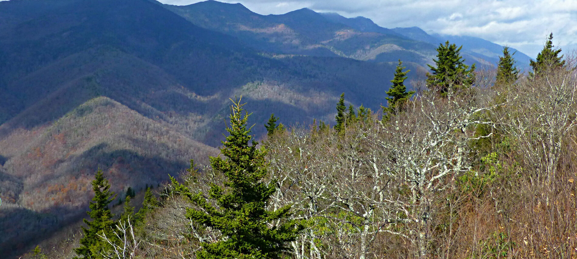 View of mountains from a distance in the wintertime with bare trees