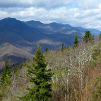 View of mountains from a distance in the wintertime with bare trees