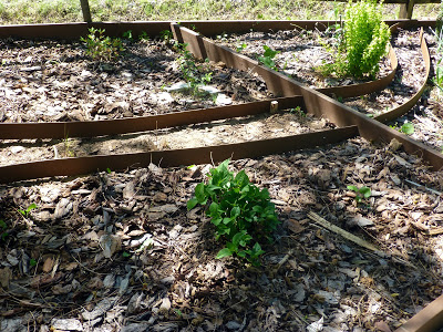 Framework in a garden