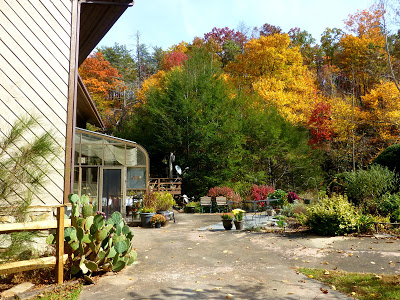 Side view of a solarium and large garden patio area with fall colors behind it