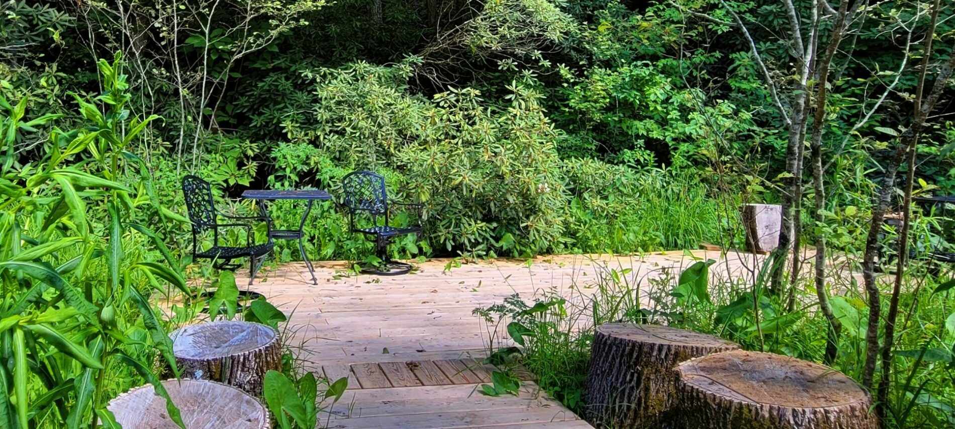 Wooden walkway leading to large seating deck surrounded by plants