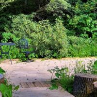 Wooden walkway leading to large seating deck surrounded by plants