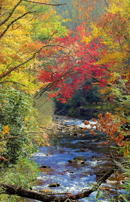 Large stream surrounded by trees with red, yellow and orange leaves