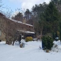 A snowy scene with a lodge style home surrounded by tall trees