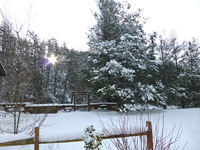 Sun rising over a ridge in the forest after a snowfall