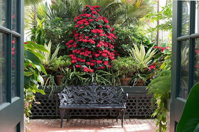 Wrought iron bench in front of huge display of tropical plants and flowers