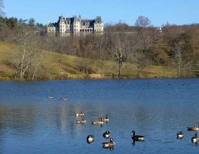 Large pond with ducks and geese with French chateau style mansion on a hill in the background