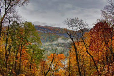 Fall colors in a gorge