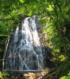 Waterfall spanning wide rocks with a tree canopy in the foreground