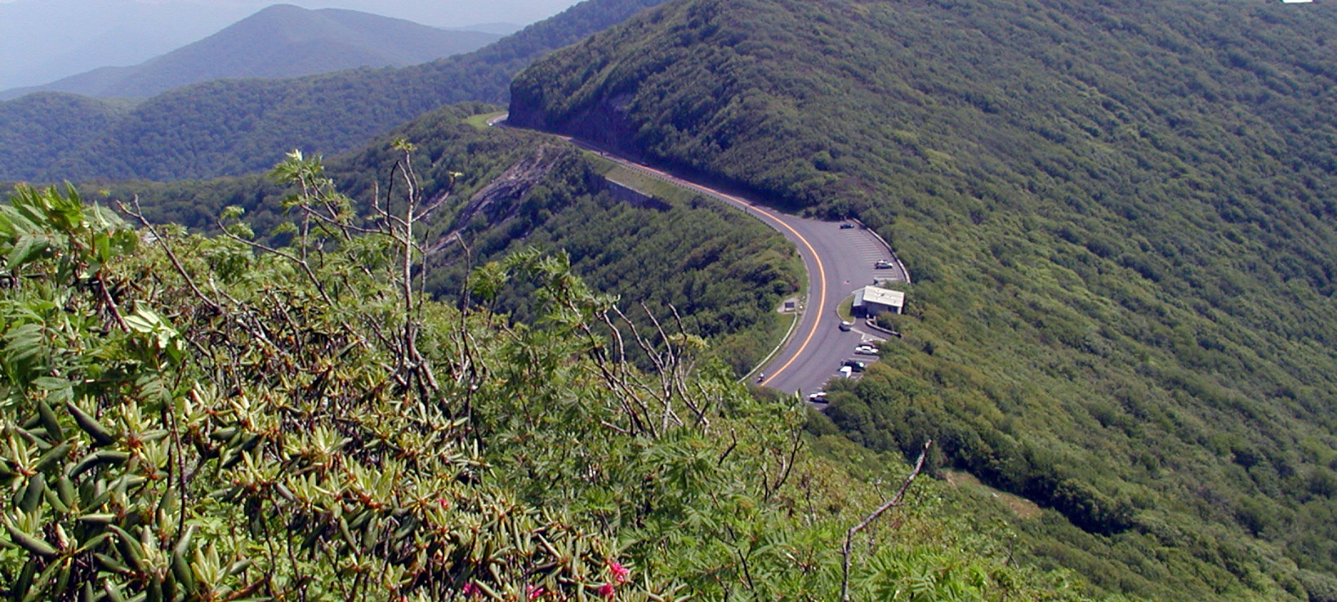 Road curving through tree-filled mountain ridges