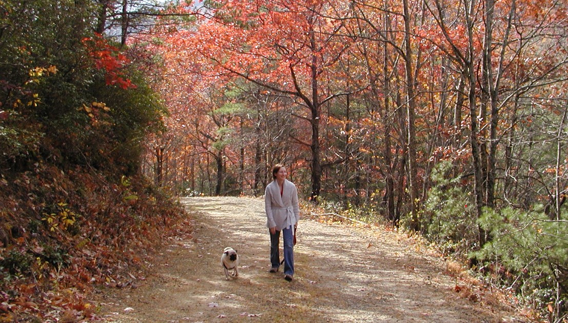 Innkeeper Brigette walking with Csaba the Innpug on the forest service road near the inn with full fall foliage