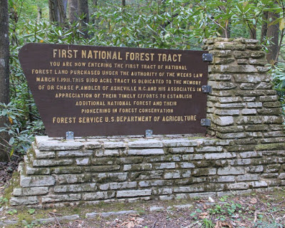 Large sign in the woods describing first tract of National Forest land purchased in 1911