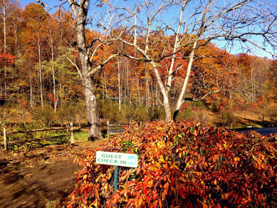 Guest check-in sign in front of a small red shrub with fall foliage in the background