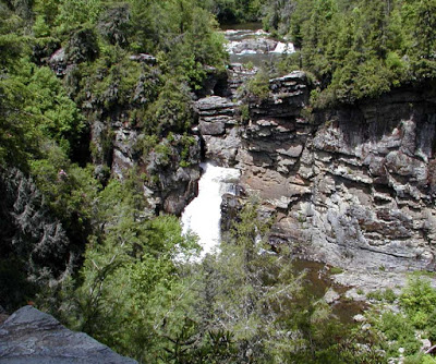 View from high above a high volume waterfall surrounded by green trees