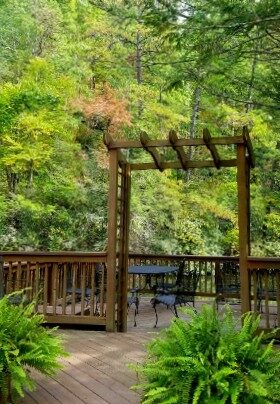 Deck with wrought iron table and chairs and an arbor over the center with two large ferns in the foreground and trees in the background