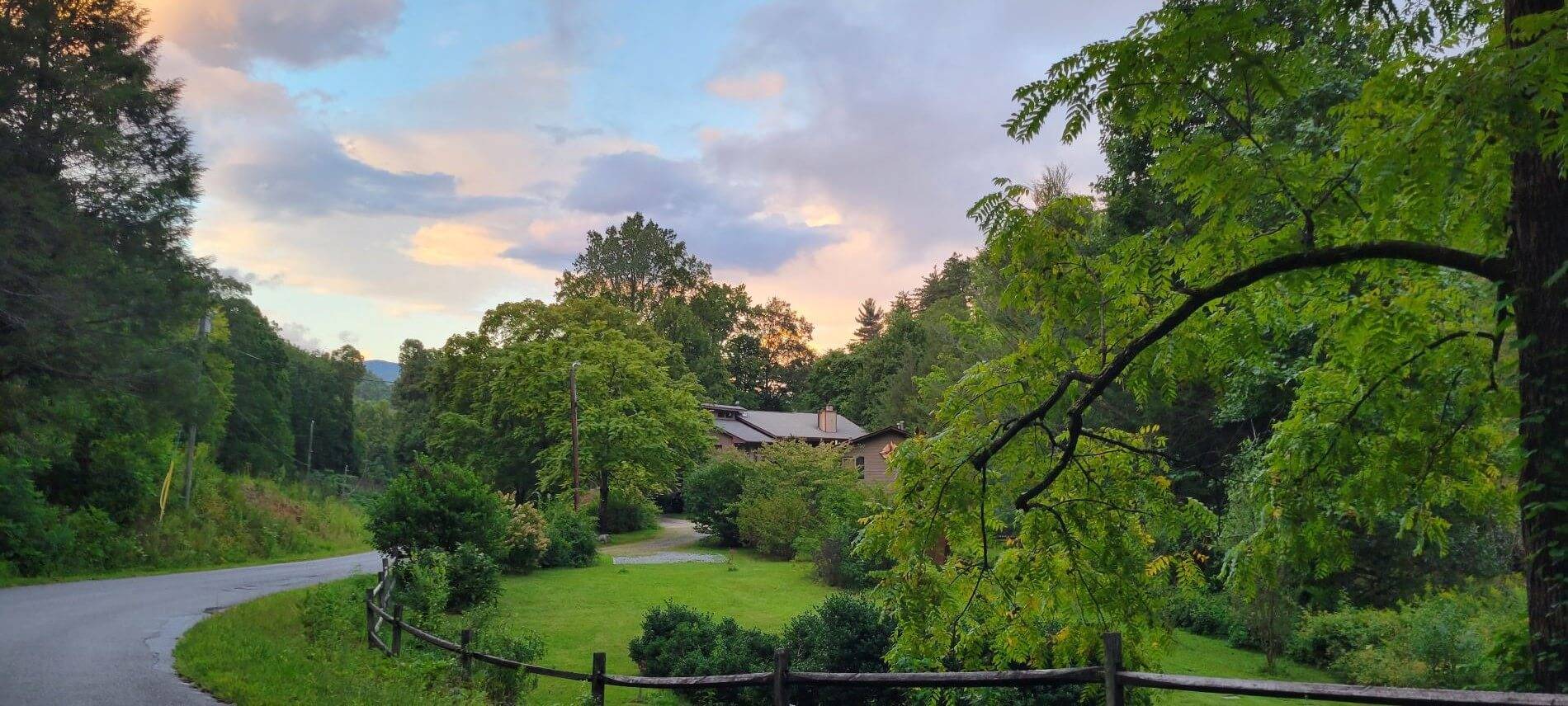 winding concrete path through dense greenery with buildings in the distance